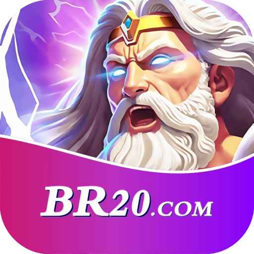 br20 Logo